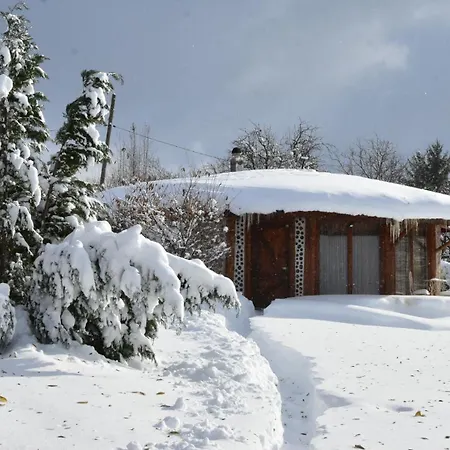 Вилла Wild Cherry Cordwood / дивите череши *